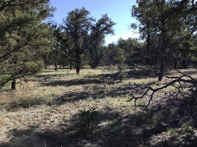 Lot 7 Red Fox Road, Home with 0 bedrooms, 0 bathrooms and null parking in Ramah NM | Image 17