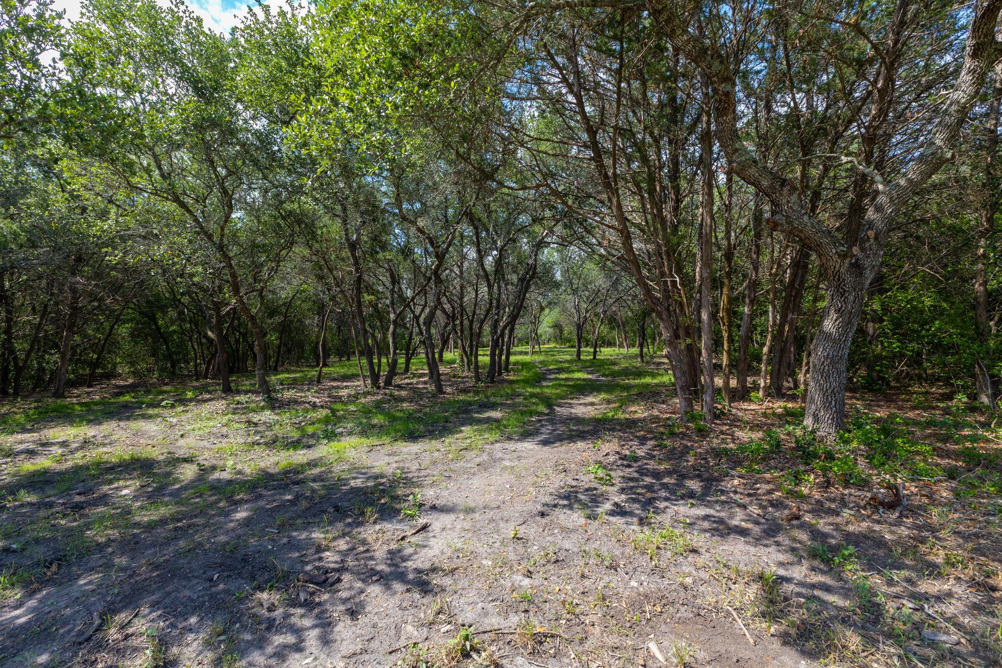 Land in Flatonia 5