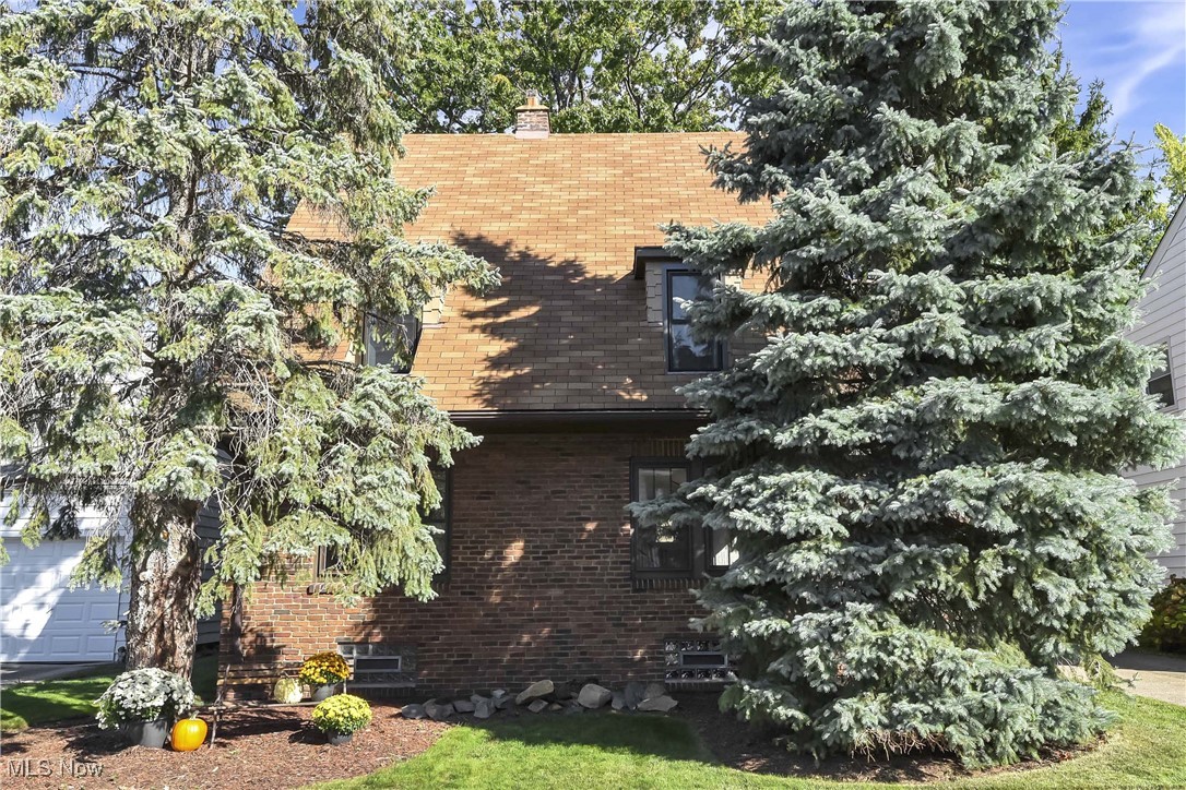 Blossom Park Ave, Lakewood, OH 44107
