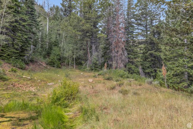 10780 Ford Ridge Rd, Home with 0 bedrooms, 0 bathrooms and null parking in Helper UT | Image 32