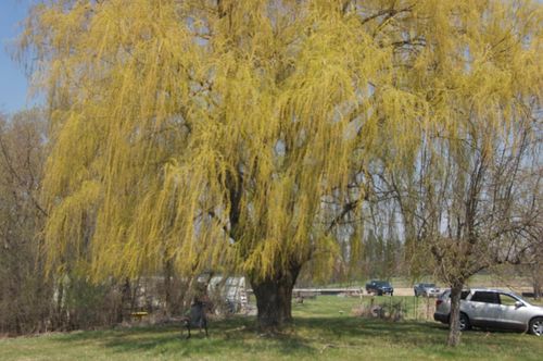 621 Lyman Blvd, Chanhassen, MN, 55317 | Card Image