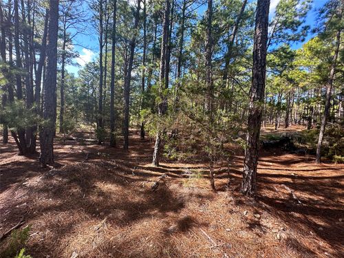 Lot 11 Hickory Ridge Dr, Bastrop, TX, 78602 | Card Image