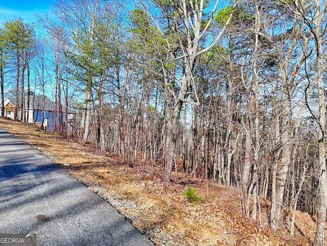 654 - 334 Mountain Sweet Dr, Home with 0 bedrooms, 0 bathrooms and null parking in Clarkesville GA | Image 11
