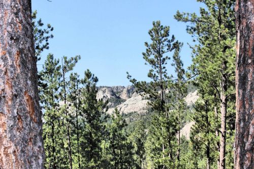 TBD Lechner Ln, Custer, SD, 57730 | Card Image