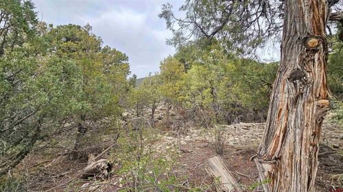 4233 Tranquil Way, Crestone, CO, 81131 | Card Image