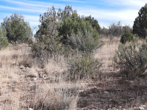 32563 W Ancho Rd, Seligman, AZ, 86337 | Card Image