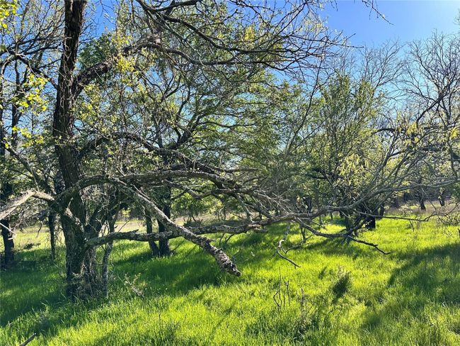 Lot 13 Cr 127, Home with 0 bedrooms, 0 bathrooms and null parking in Carlton TX | Image 16