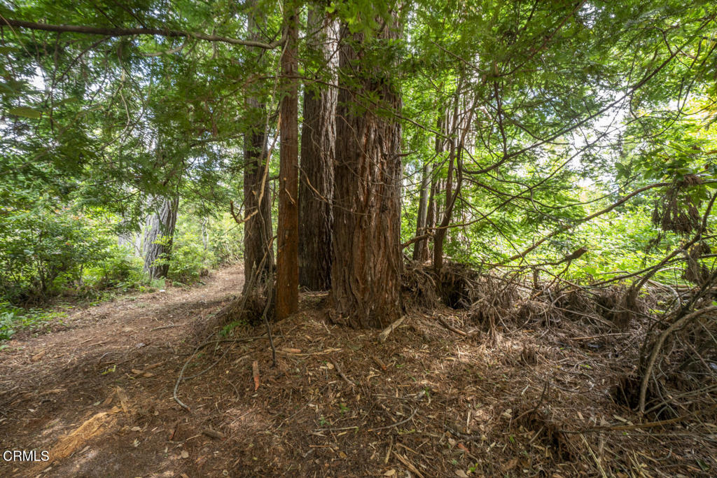 Land in Fort Bragg 5