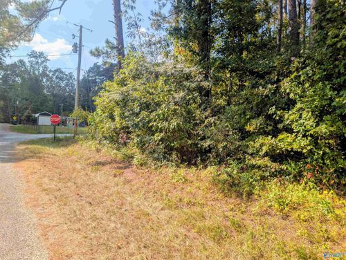 lot 1 County Road 249, Leesburg, AL, 35983-3014 | Card Image