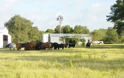 1700 Bruce Rd, Poteet, TX, 78065-5062 | Card Image