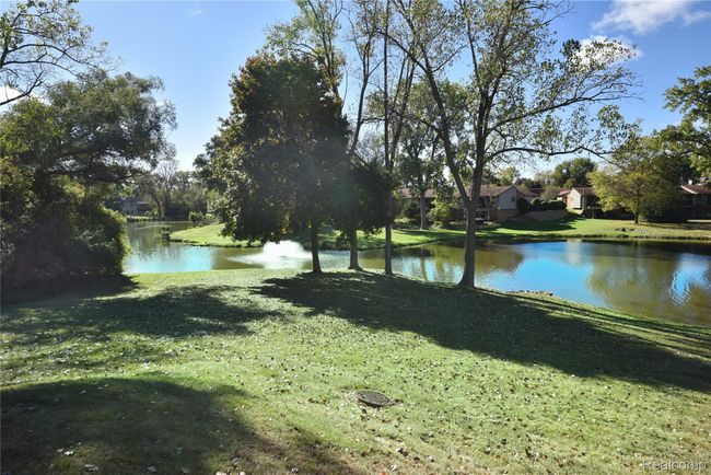 Lovely Grounds | Image 27