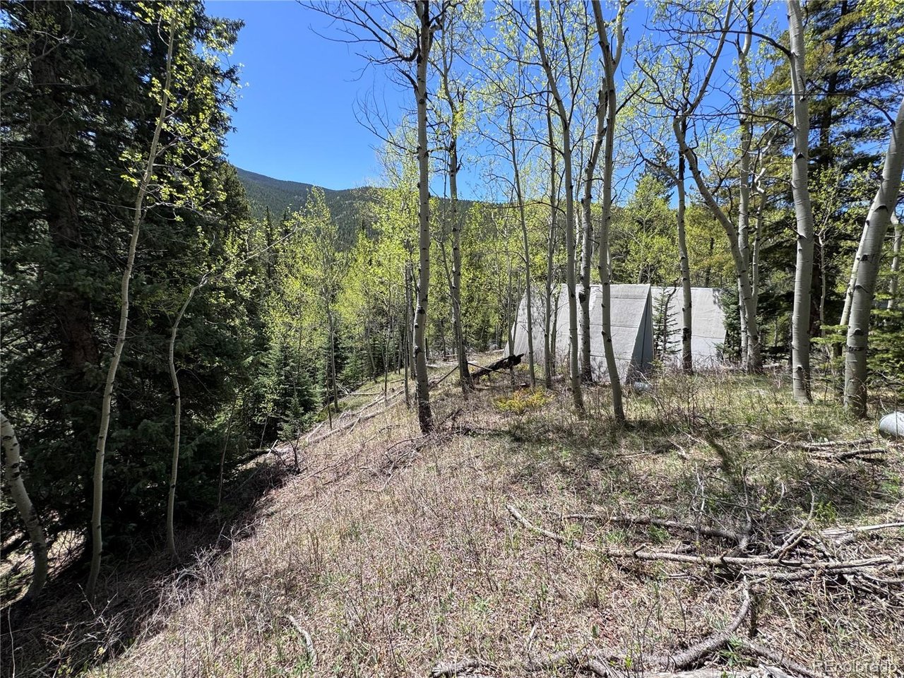 Residential in Idaho Springs 4