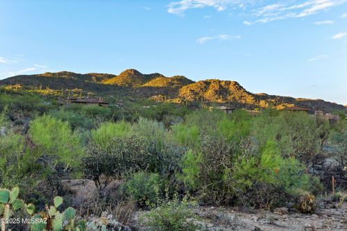 170-1079 W Tortolita Mountain Circle W, Oro Valley, AZ, 85755 | Card Image