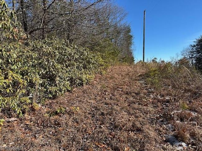 0 Old Railroad Grade Rd, Home with 0 bedrooms, 0 bathrooms and null parking in Thurmond NC | Image 12