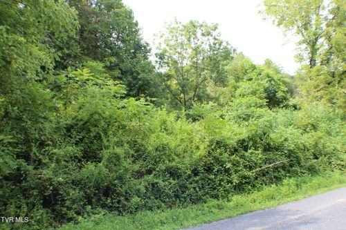 0 Early Branch Rd, Rogersville, TN, 37857 | Card Image