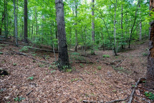 0 Allens Creek Rd, Home with 0 bedrooms, 0 bathrooms and null parking in GLADSTONE VA | Image 29
