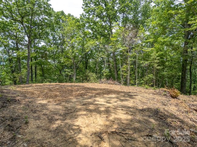000 White Rock Branch Rd, Home with 0 bedrooms, 0 bathrooms and null parking in Candler NC | Image 8