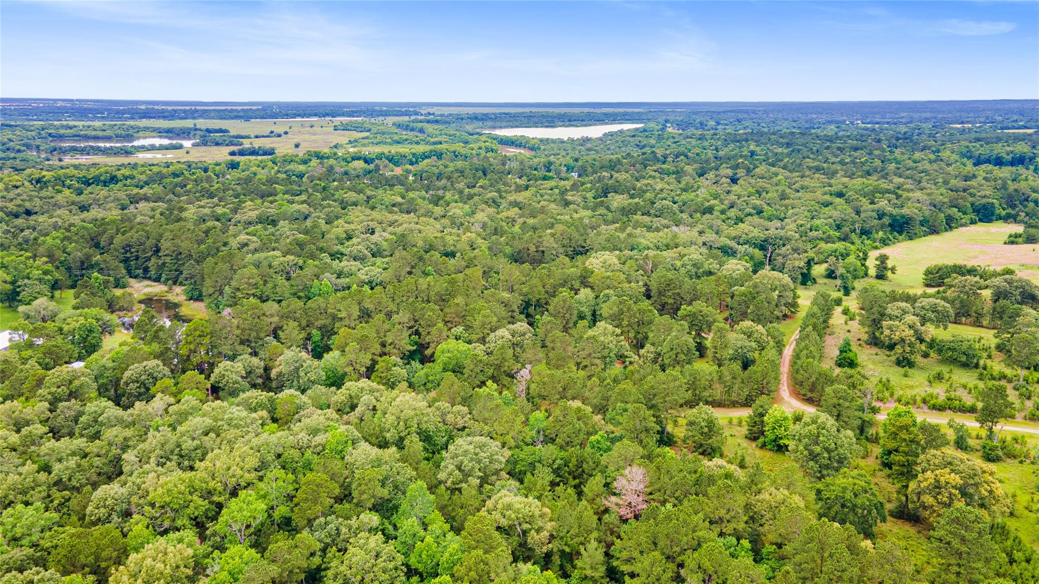 Land in Trinity 5