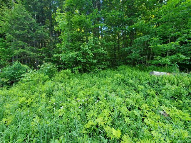 4 Murdock Ln, Home with 0 bedrooms, 0 bathrooms and null parking in Whitingham VT | Image 10