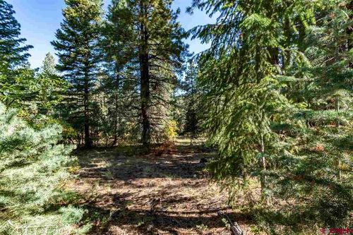 307 Natures Way, Pagosa Springs, CO, 81147-8040 | Card Image