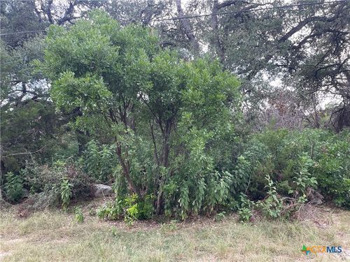 1652 Comfort, Canyon Lake, TX, 78133-4080 | Card Image