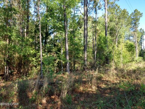 TBD Little John Ln., Bonifay, FL, 32425 | Card Image