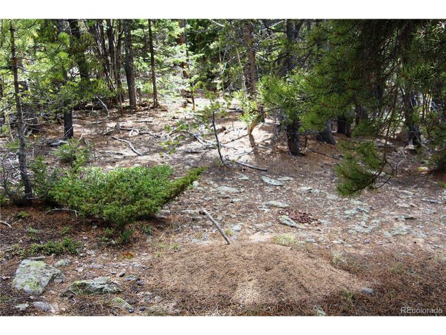 435 Aspen Rd, Home with 0 bedrooms, 0 bathrooms and null parking in Black Hawk CO | Image 5