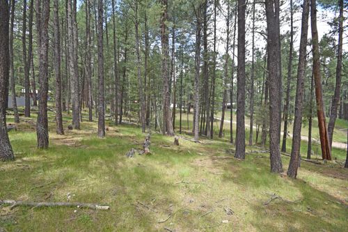 Lots 2 & 3 Hidden Valley Road, Jemez Springs, NM, 87025 | Card Image