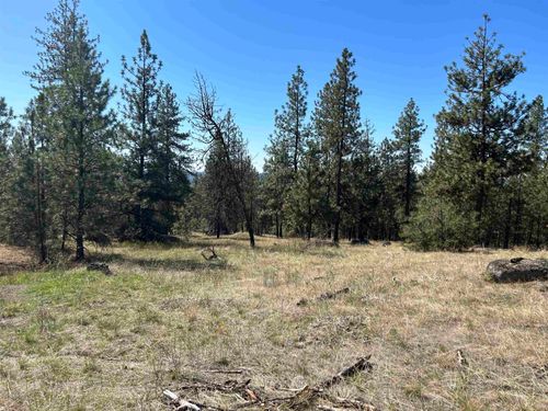NNA Corkscrew Canyon Rd, Tumtum, WA, 99034 | Card Image