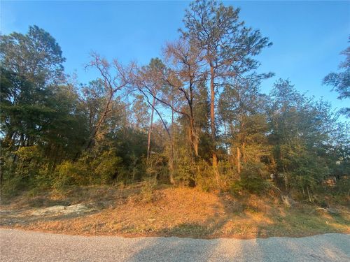 Lot 28 Sw 206th Cir, Dunnellon, FL, 34431 | Card Image