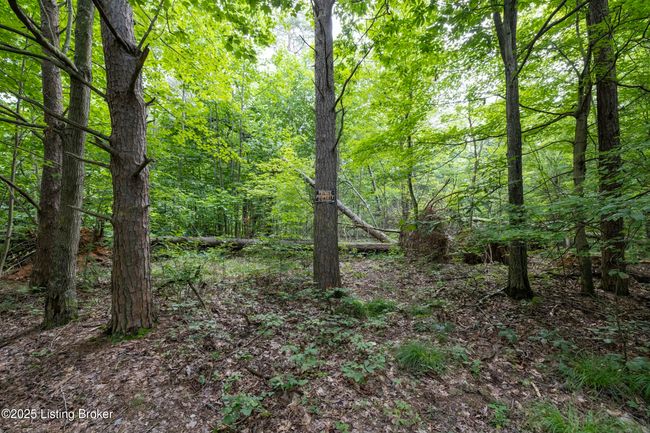 7 Vanmeter Cemetery Rd, Home with 0 bedrooms, 0 bathrooms and null parking in Bee Spring KY | Image 26