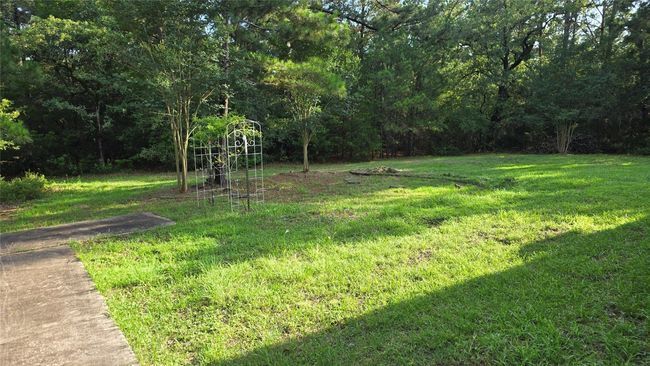 Garden area | Image 27