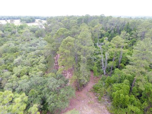 161 Snake Hill Rd, CRESCENT CITY, FL, 32112 | Card Image