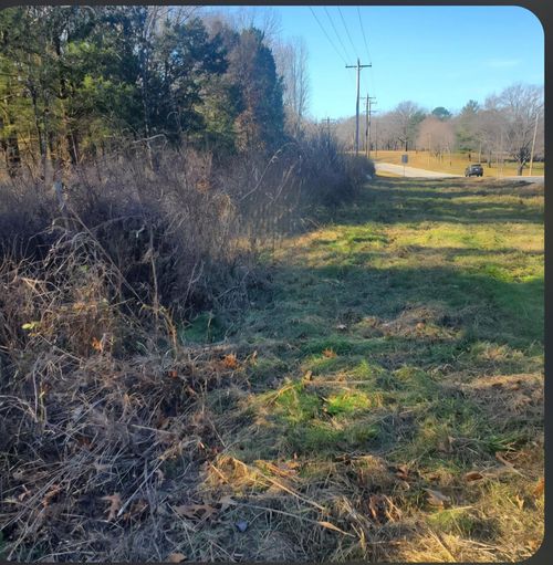 217 S Lake Rd, Blue Eye, MO, 65611-7349 | Card Image