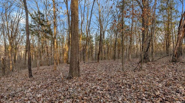 0 Highway M, Home with 0 bedrooms, 0 bathrooms and null parking in Villa Ridge MO | Image 18