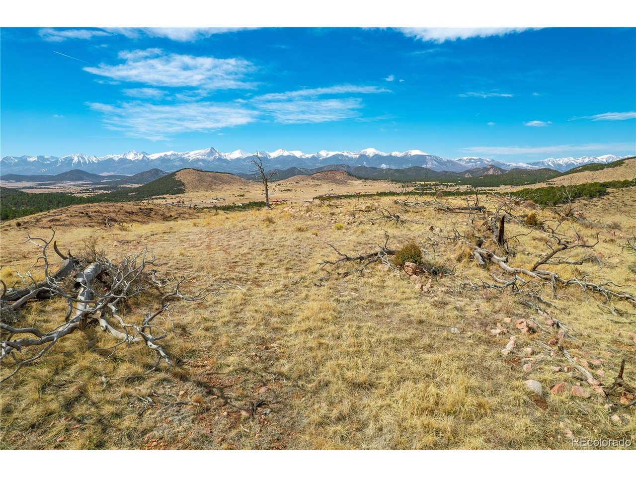 Land in Cotopaxi 3