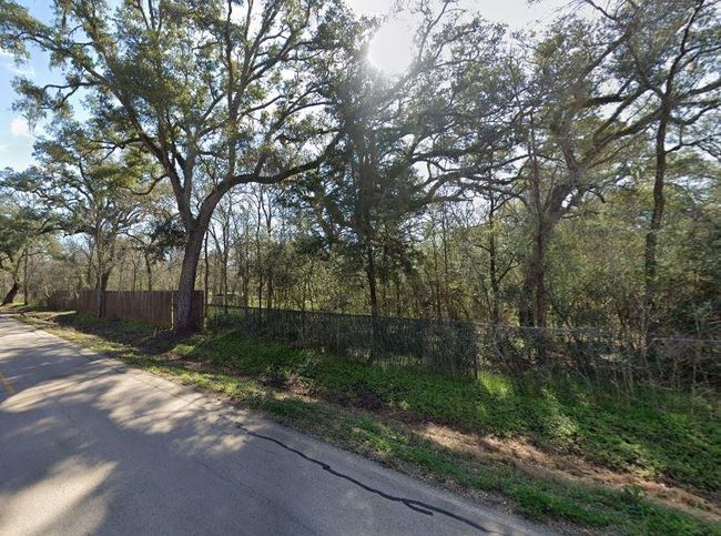 107 Forest Loop, Home with 0 bedrooms, 0 bathrooms and null parking in Angleton TX | Image 4