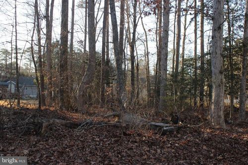 2375 Brigantine Boulevard, GREENBACKVILLE, VA, 23356 | Card Image