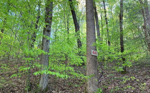 LOT 44 Fires Creek Rd, Hayesville, NC, 28904-7526 | Card Image