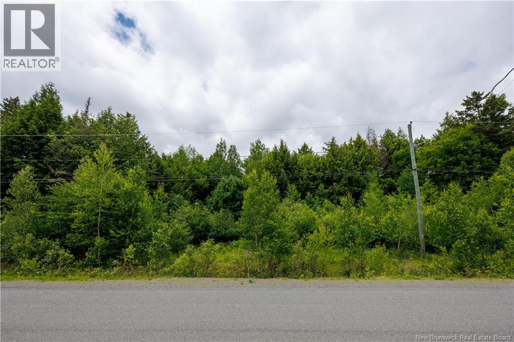 Land in Richibucto Road 4