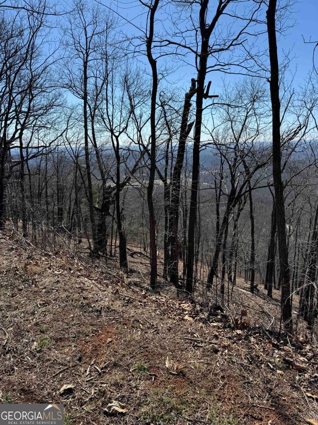 7349 Starlight Ln, Home with 0 bedrooms, 0 bathrooms and null parking in Jasper GA | Image 11