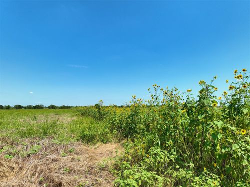Lot 2 Cr 142 Road, Cameron, TX, 76520 | Card Image