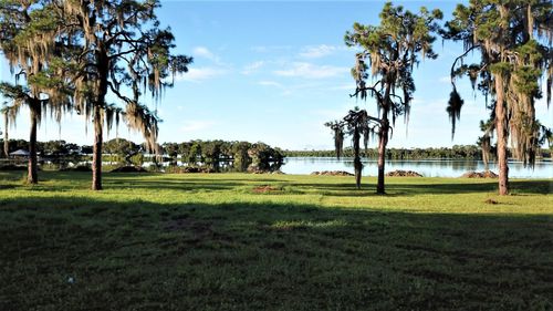 1040 Lake June Rd, Lake Placid, FL, 33852-8936 | Card Image