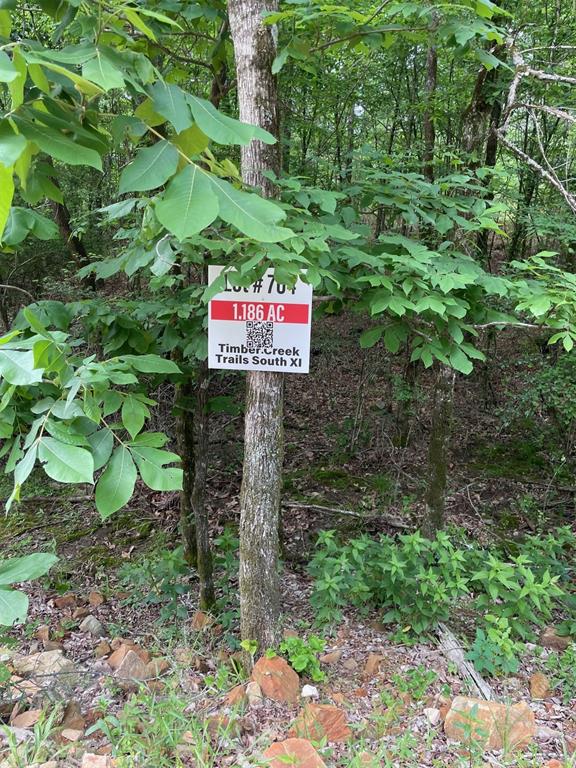 Land in Broken Bow 4