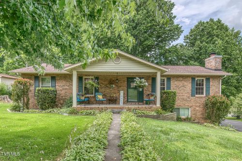 111 Whitson Dr, Elizabethton, TN, 37643-3852 | Card Image