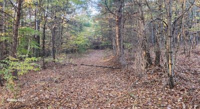 5.48 ac Hidden Ridge, Home with 0 bedrooms, 0 bathrooms and null parking in Hillsville VA | Image 2