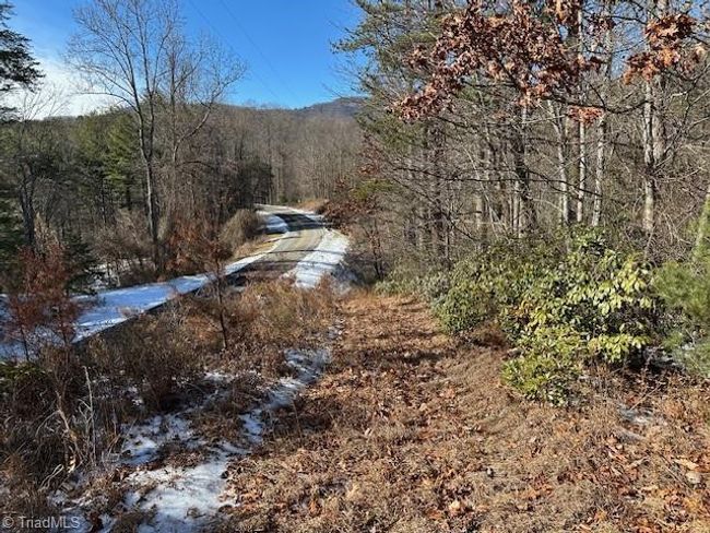 0 Old Railroad Grade Rd, Home with 0 bedrooms, 0 bathrooms and null parking in Thurmond NC | Image 4