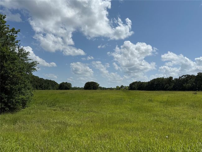 View of undeveloped land featuring rural landscape | Image 15