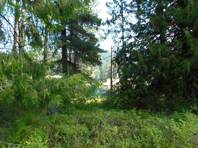 Lot 3 Highway 20 Hwy, Home with 0 bedrooms, 0 bathrooms and null parking in Cusick WA | Image 15