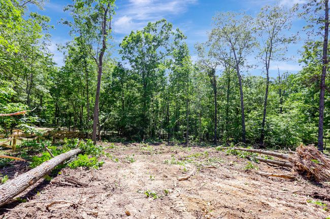 LOT-52 - 7452 Peytons Rise Way, House other with 3 bedrooms, 3 bathrooms and null parking in Georgetown TN | Image 15